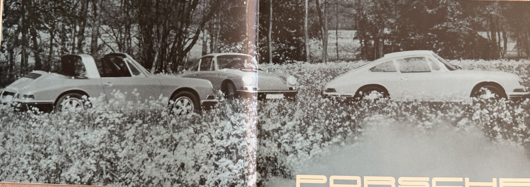 Coupé and Targa in a meadow